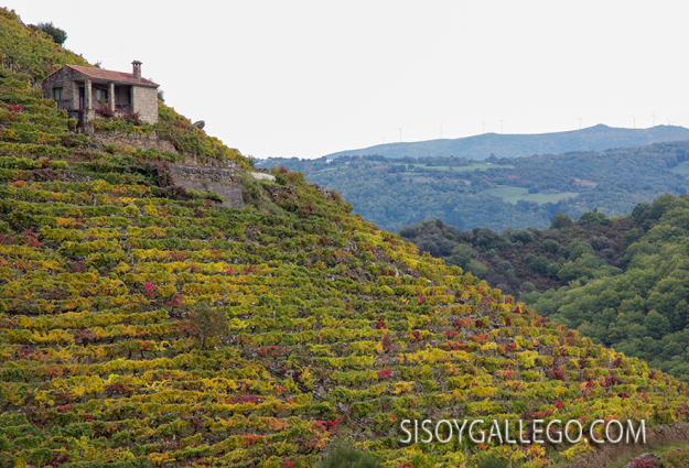 24_Ribeira.Sacra