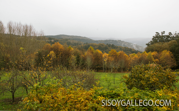 IMG_6525.Ribeira Sacra