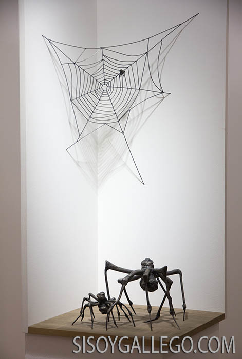 22.-Fund.M.Jose Jove