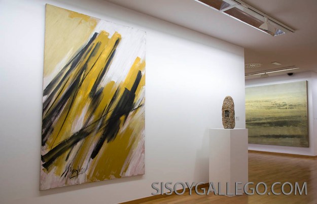 40.-Fund.M.Jose Jove