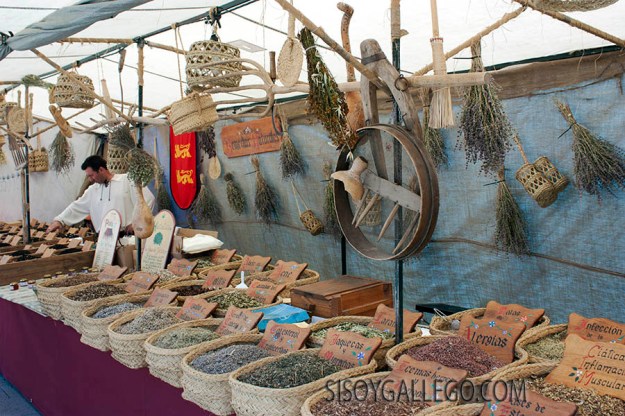 20_Betanzos.F.Medieval