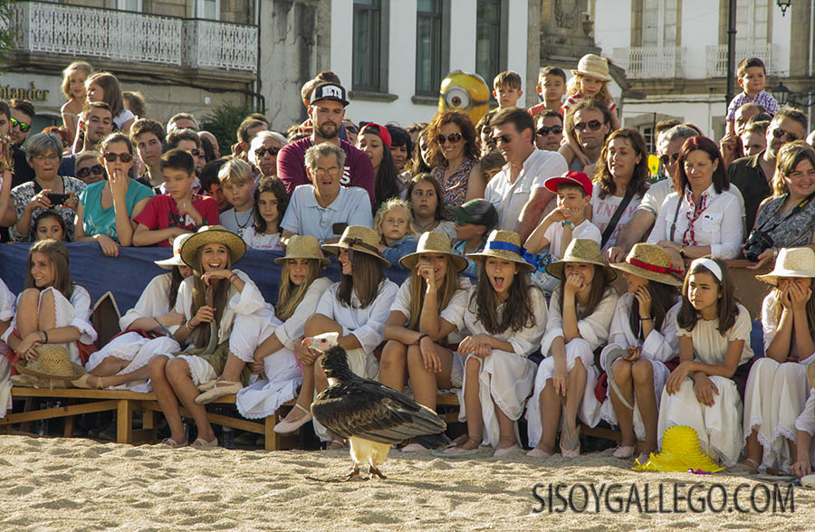 70.Betanzos.F.Medieval