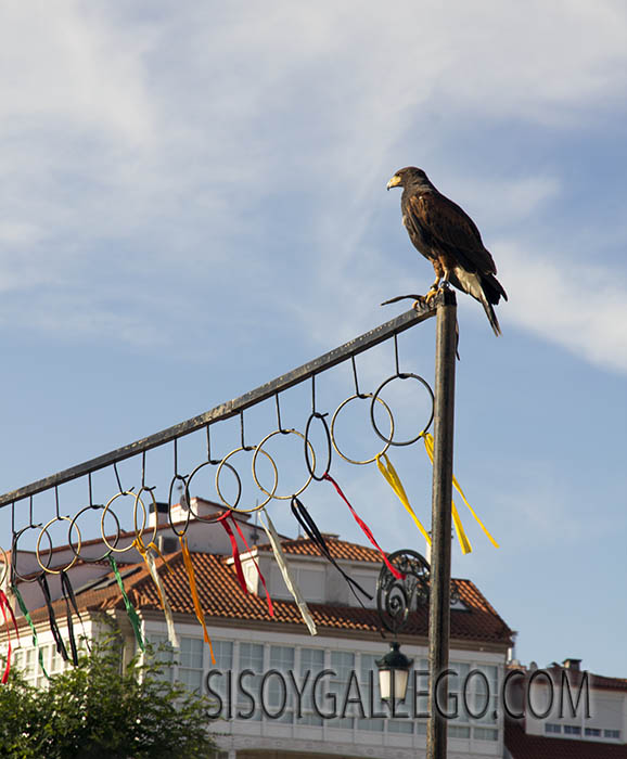 78.Betanzos.F.Medieval