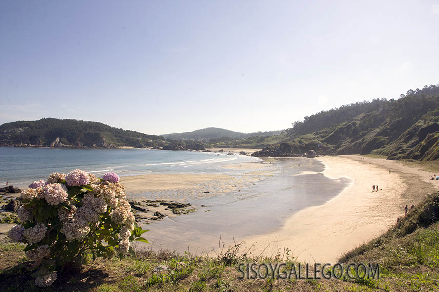 13.-Espasante.Coruña