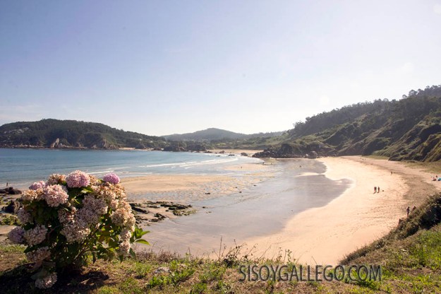 13.-Espasante.Coruña