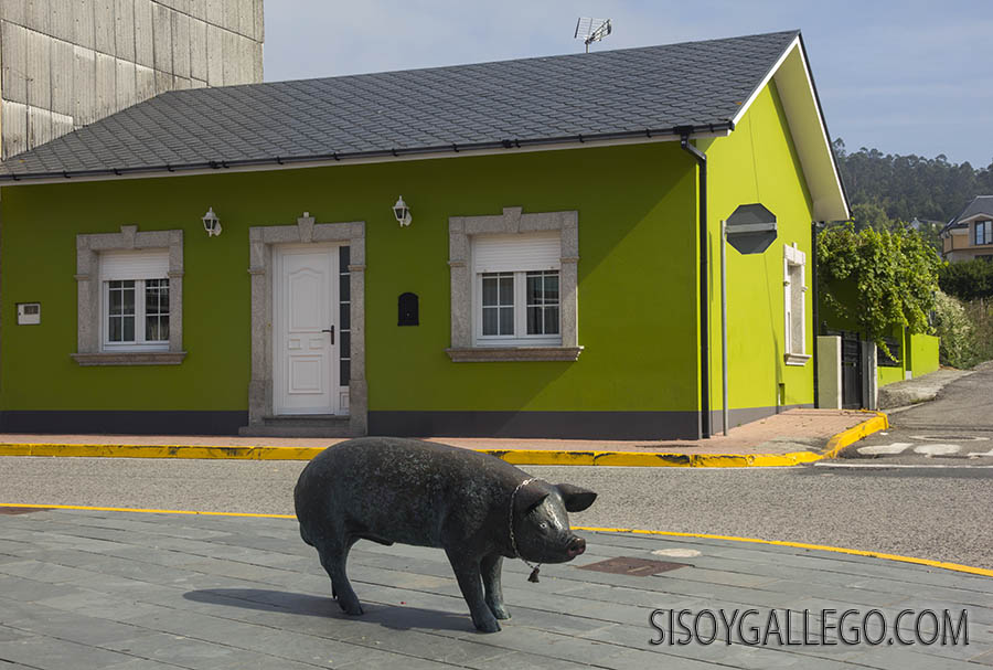 20.-Espasante.Coruña